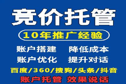 某知名品牌SEM运营策略及效果评估